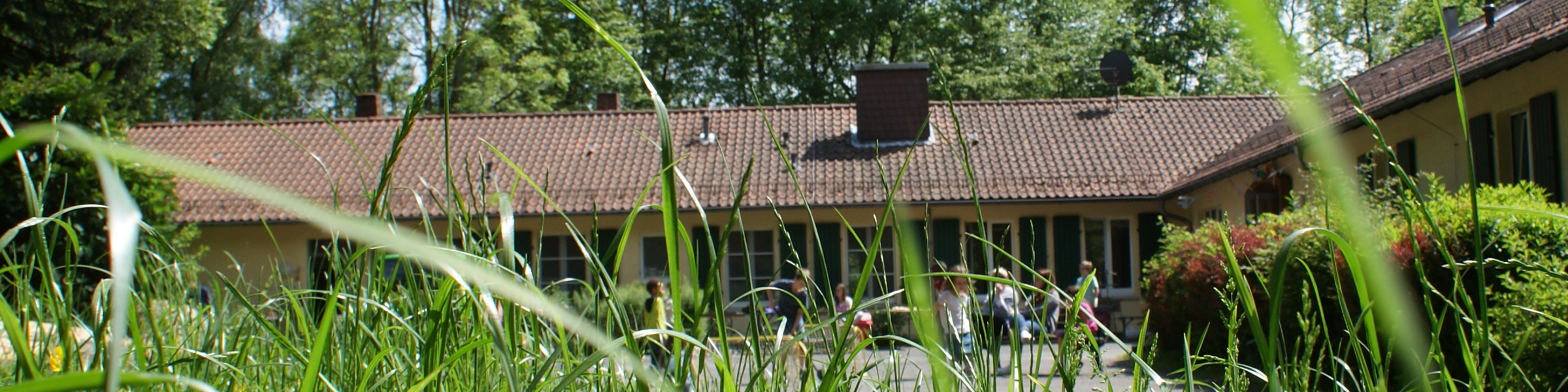 Blick durch grüne Grashalme auf das Albert-Schweitzer-Haus